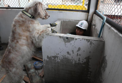 Sniffing out survivors
