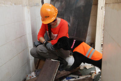Sniffing out survivors