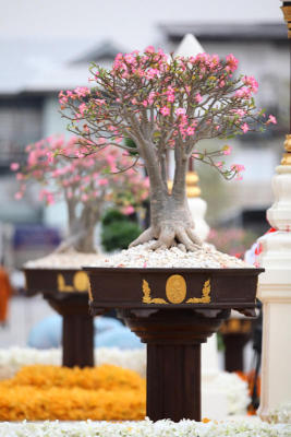 พระเมรุพระศพสมเด็จพระสังฆราช