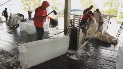 ประธานชมรมโรงน้ำแข็งกรุงเก่าครวญ หนาวจัดทำยอดขายฮวบ 50 เปอร์เซ็นต์