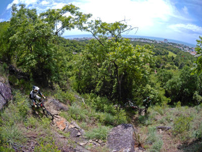 2806Freewheel5