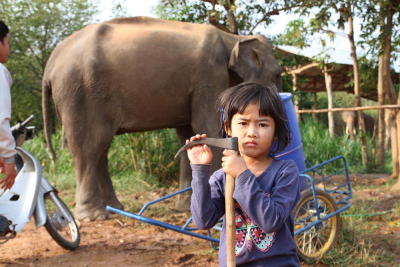 ฮือฮาควาญจิ๋วสุรินทร์4ขวบเลี้ยงช้างเป็นเพื่อนแสนรัก