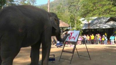 ปางช้างเชียงใหม่โชว์แสนรู้ วาดอวยพรตรุษจีนให้ทัวริสต์