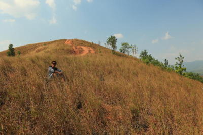 ภูเขาหญ้า