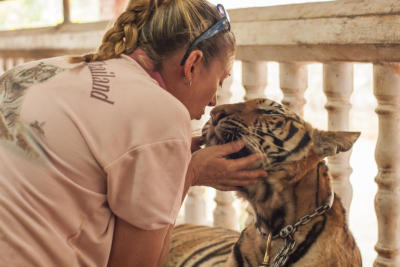 Cry of the tiger
