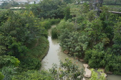 Making the city greener