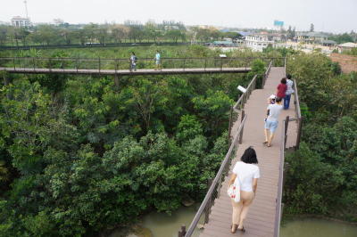 Making the city greener