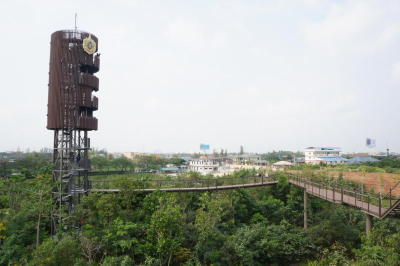 Making the city greener