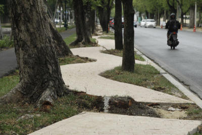 ทางจักรยานรอบวังสวนจิตรลดา
