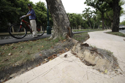Making the capital bicycle friendly is no easy feat