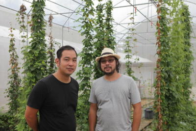 BORN, BRED (AND PERHAPS BREWED)