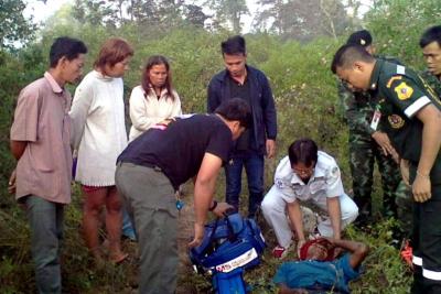 ช้างป่าแก่งกระจาน