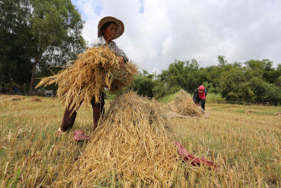 Migrants face changing climate