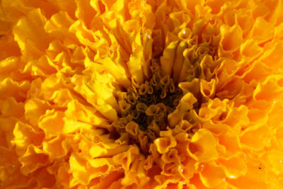 Floral tribute to late King
