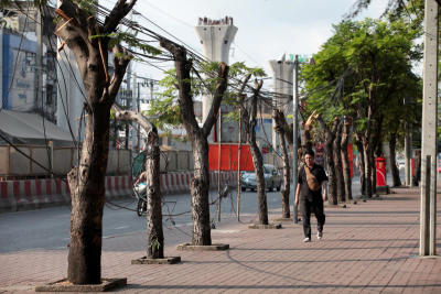 ต้นไม้หน้าม.เกษตรฯบางเขนถูกตัดเหลือแต่ลำต้น