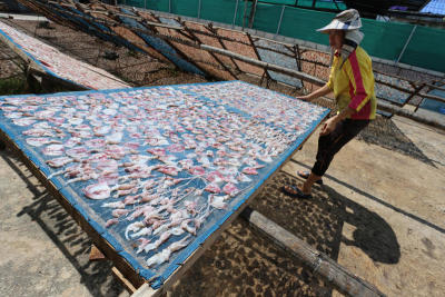 Migrants face changing climate