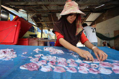 Migrants face changing climate