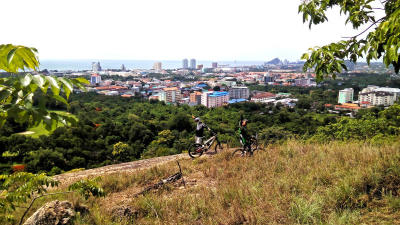 2806Freewheel5
