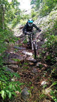 2806Freewheel5