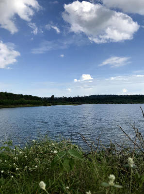 Lam Pathia Reservoir in Bari Ram