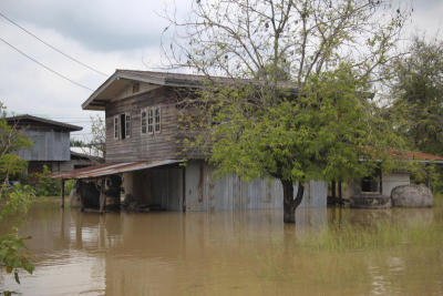 Flood Chaiyaphum / น้ำจากเขื่อนลำคันฉูหลากทะลักล้นออกมาท่วมพื้นที่ จ.ชัยภูมิ
