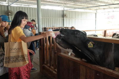 BORNEO TO BE WILD