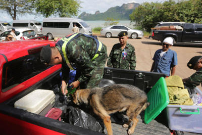 ตรวจนักท่องเที่ยว เกาะสมุย เกาะพงัน เกาะเต่า