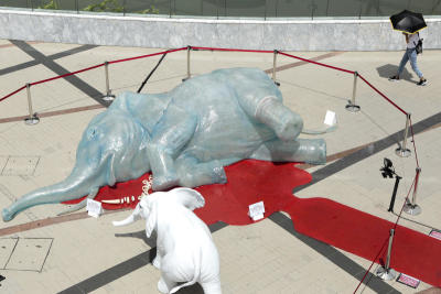 Blood on the tusks