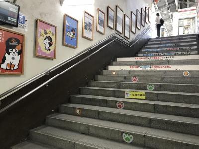 Wakayama