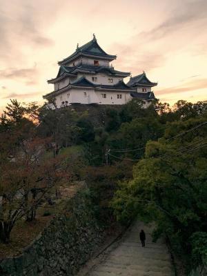 Wakayama