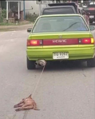 Mum drags dog behind car