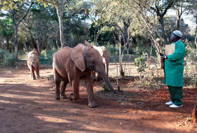 Nairobi attractions