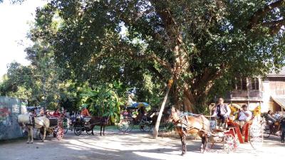 Lampang: Dream Destination