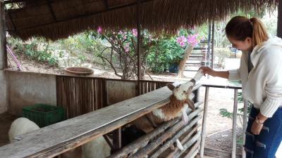 Lampang: Dream Destination