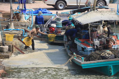 New rules stink, say fishermen