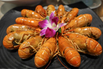 CRAY-CRAY FOR CRAYFISH