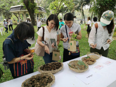 Planting the seeds of mindfulness and beauty