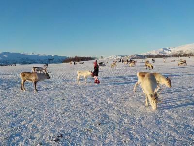 Sami Camp