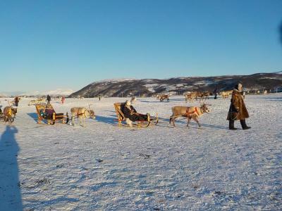 Sami Camp