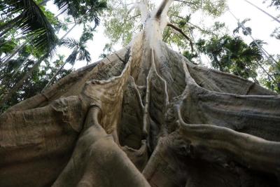 บ้านสะนำ จ.อุทัยธานี