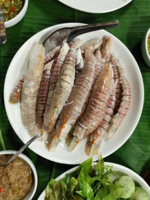 0108Trat1