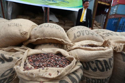 กรมศุลแถลงจับโกโก้