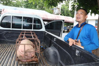 Pair held for stealing pig from cop's farm