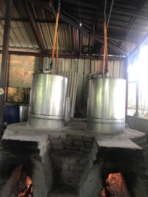 Sukhothai Gastronomy
