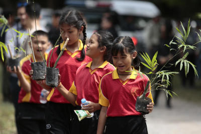 Bamboo fences to bring human-elephant harmony to Khao Yai