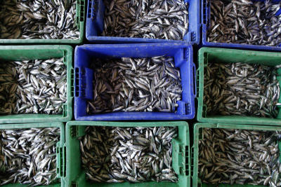 As trawlers mechanise to beat tighter fishing rules and labour shortages, fears are growing in Pattani that smaller boats could soon go out of business