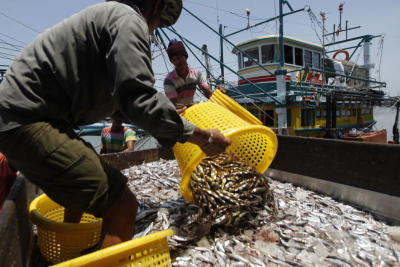 As trawlers mechanise to beat tighter fishing rules and labour shortages, fears are growing in Pattani that smaller boats could soon go out of business