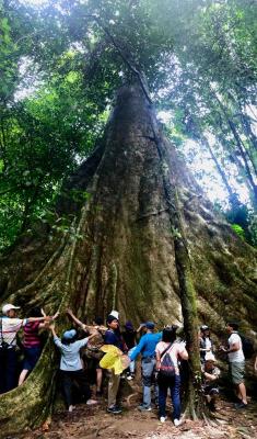 tourist attractions in Yala and Narathiwat