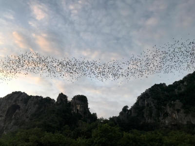 Sa Kaeo