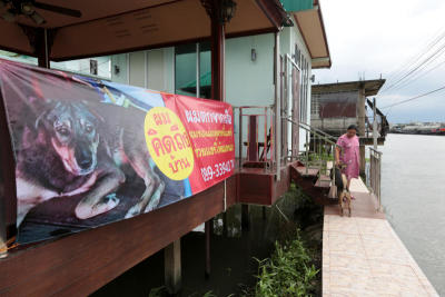 หมาตกเรือ นั่งรอเจ้าของที่ท่าน้ำทุกวันเลย